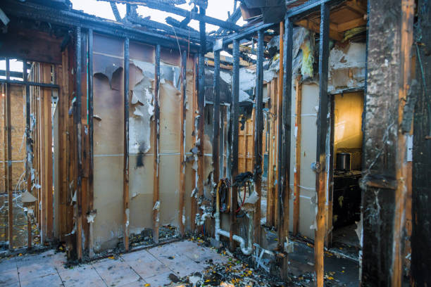 Professional Smoke Damage Removal technician working in Snoqualmie Pass, WA